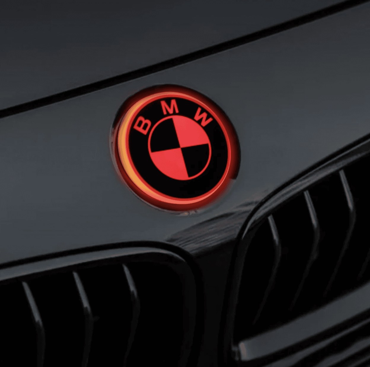 BMW LED LOGO